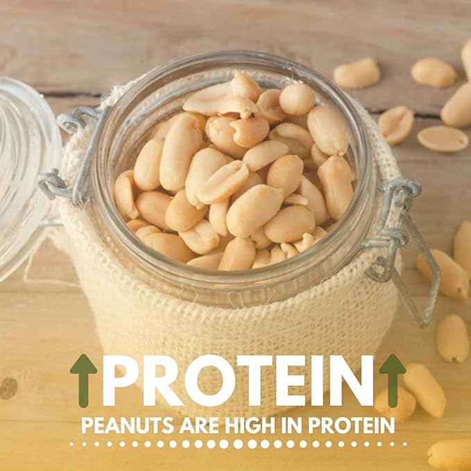 Peanuts Dry Roasted Unsalted Blanched 5 Pound Bulk Bag - We Got Nuts