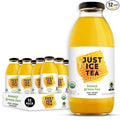 Just Ice Tea Organic Iced Tea 16 Fl Oz Glass Bottles (Honey Green Tea Pack of 12)