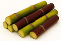 Fresh Sugarcane Sticks Pure Cane Sugar Natural Sweetness 5 LBS (80 OZ)