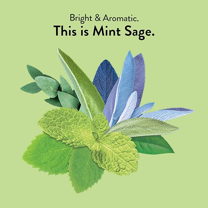 Choice Organic Mint Sage Herbal Tea Caffeine Free 16 Bags (Pack Of 6)