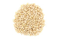 Lilly's Family Foods Lilly's Raw Pine Nuts - Pignolias (1LB) Kosher