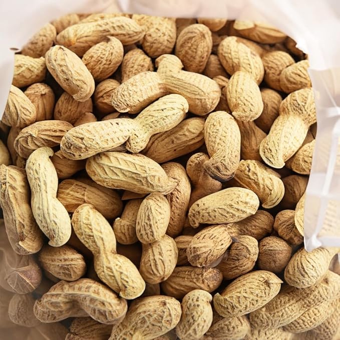 C.J. Dannemiller RAW Peanuts in the Shell Fancy 10 LB Bulk Bag Unroasted Perfect for Boiling and Roasting
