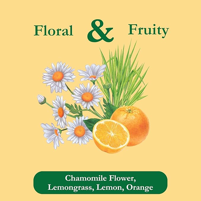 Tadin Chamomile Citrus Tea Herbal Tea Caffeine Free Tea Tea Bags Individually Wrapped 24 Tea Bags Per Box Pack of 6