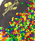 SweetGourmet Rainbow Candy Coated Chocolate Sunflower Seeds Milk Chocolate Gluten-Free 2 Pounds