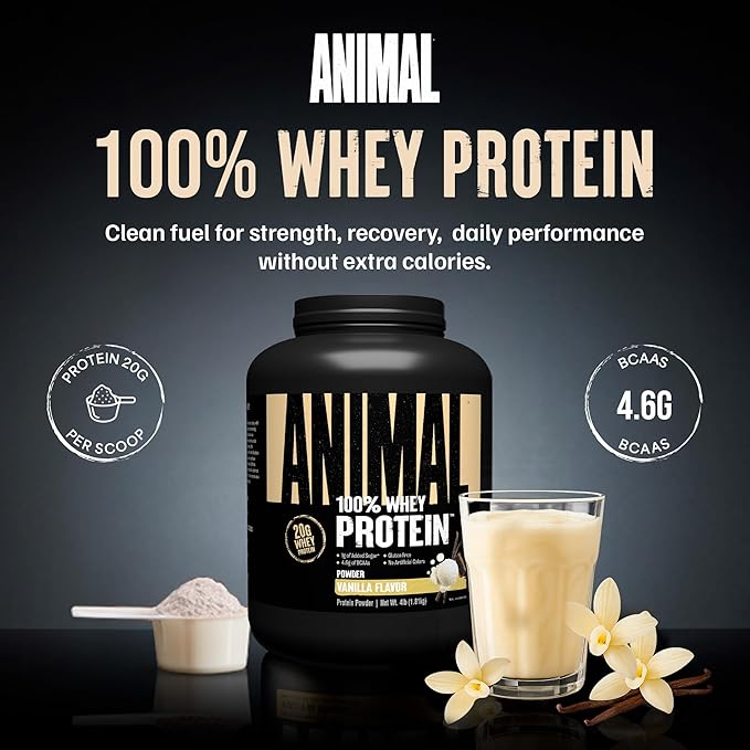 Animal 100% Whey Protein Powder – Whey Blend for Pre Workout or Post Workout Recovery or an Anytime Low Sugar Protein Boost Meal Replacement with BCAA Branched Chain Amino Acids – Vanilla 4 lb