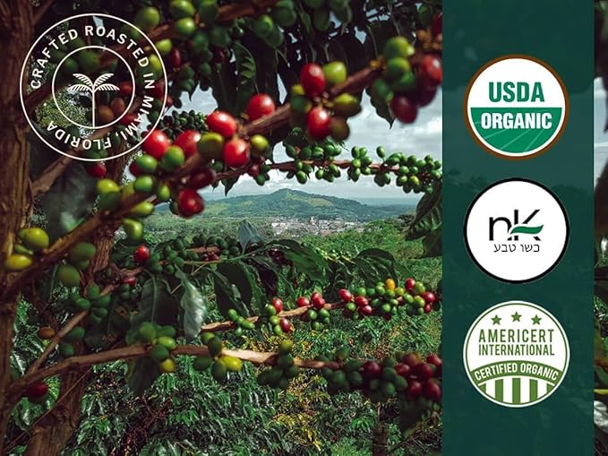 Artizan Coffee USDA Organic Espresso Coffee Capsules For Nespresso Original | Flavors Variety | 120 Compatible Compostable Pods