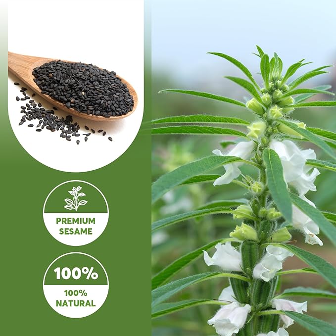 ONETANG Organic Black Sesame PowderPlant BasedGluten-FreeVeganProtein Source No SugarLow Temp RoastedHalalNon-GMOBlack Sesame Paste 12.36 Oz (350g)