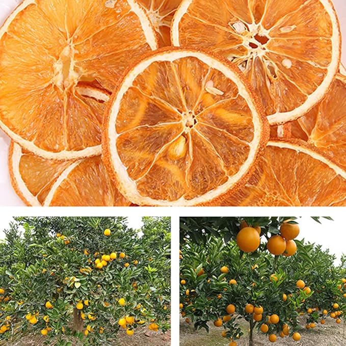 JTEDZI Dried Orange Slices Dehydrated Orange Slices Dried Citrus Slices Dehydrated Fruit for Cocktails Garnish Home Decor No Sugar Added Fruit Tea (Orange Slices 17.63oz(500g))