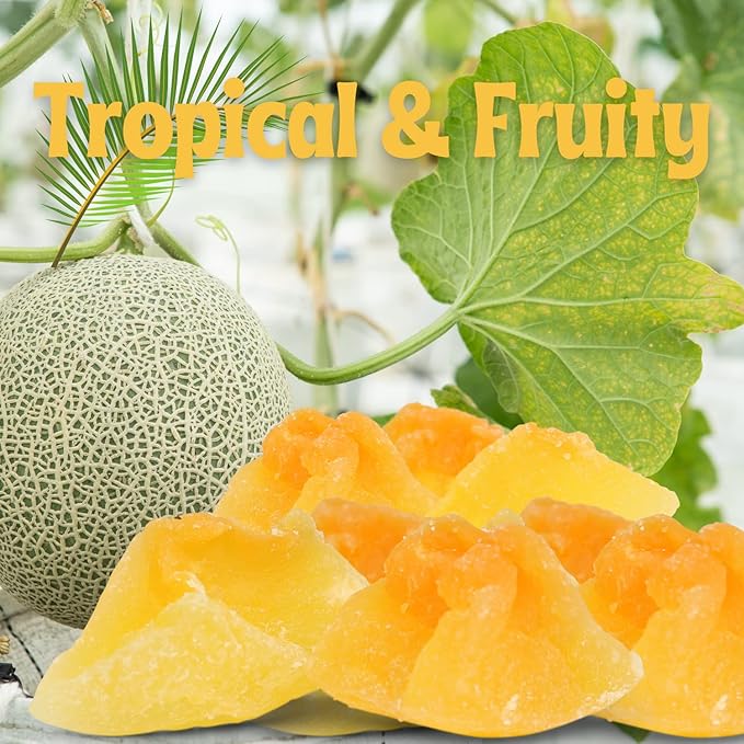 Dried Cantaloupe Chunks by It’s Delish 1 lb Bulk Bag | Best For Snacking Baking Cooking Nutritious and Healthy Snack High in Fiber | Tropical Melon Candied Dried Fruit Low Sugar | Vegan &amp Kos