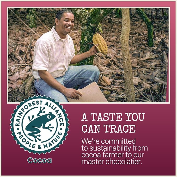Chocolove Walnuts &amp Sea Salt Dark Chocolate Bars | 55% Cocoa | Crunchy Walnuts with a Salty Twist | Premium Dark Chocolate | Non-GMO Gluten-Free 3.2 oz Bar (12 Pack)