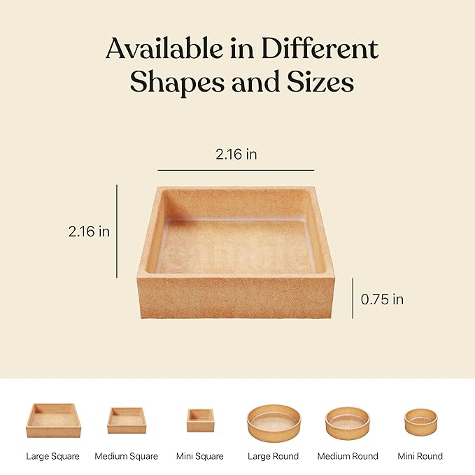 Cambie Medium Square Vanilla Tart Shells 55mm (2.16) Diameter French Style Tart Shells White Chocolate Coating Pack of 40