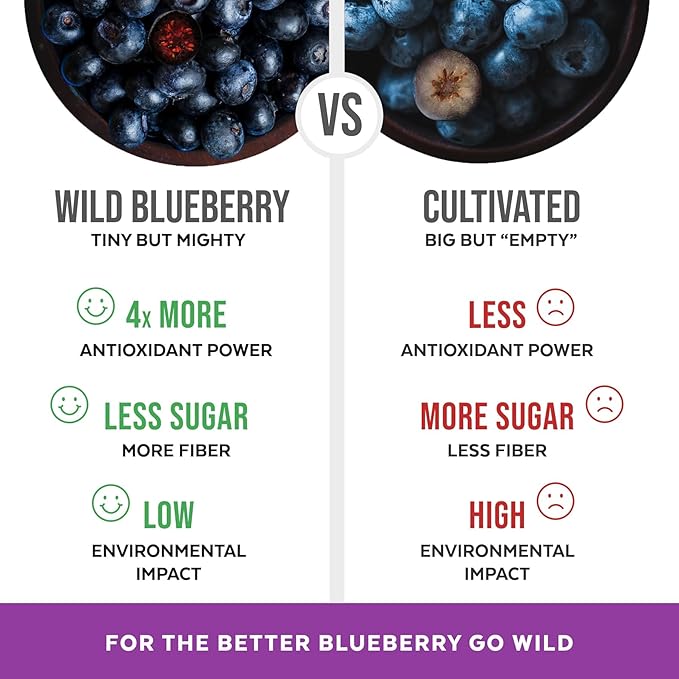 Wild Blueberry Powder Organic USDA Certified for Smoothies Baking and Flavoring Rich in Antioxidants and Vitamin C Organic Blueberries are Handpicked from Nordic Forests and Freeze Dried 6oz