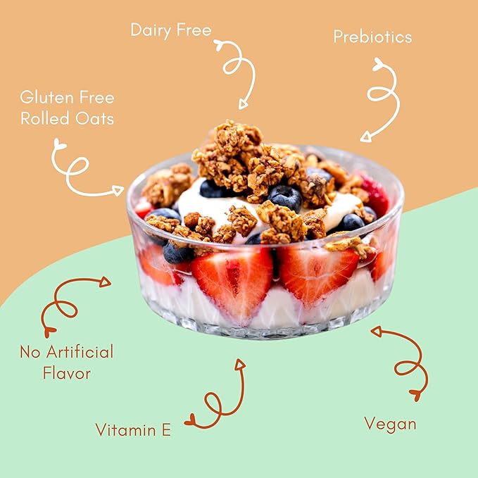 Apricot Coconut Almond Granola Clusters - 6 Pack of 4 oz Bags - Gluten Free Oats High Protein Low Sugar Vegan Dairy Free Soy Free Vitamin E Prebiotic For Optimum Gut Health Nutrient-Rich Sna