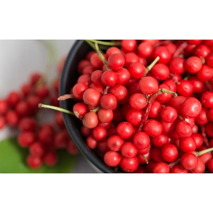 GAGOPA Dried Schisandra Berries (Omija) – 100% Korean Five Flavor Berry Tart &amp Refreshing Herbal Tea Ingredient Caffeine-Free 100g Pack