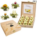 Creano Blooming Tea - Teelini Flowers in Cup Size - Gift Set in Wooden Box - 12 Pcs in 4 Varieties - White Tea