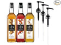 1883 Gingerbread Pumpkin Spice Toasted Marshmallow Syrups with Pumps (Winter Holiday Flavors) for Drinks – 1 Liter Glass Bottles (Pack of 3)