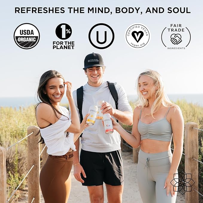 Steaz - Organic Green Tea - Mint (12 Pack) - Antioxidant Brew - 65mg Natural Caffeine 90 Calories Vitamin C - Cane Sugar Sweetened Iced Tea - Vegan Fair Trade - 12 Cans 16 fl oz (473mL)