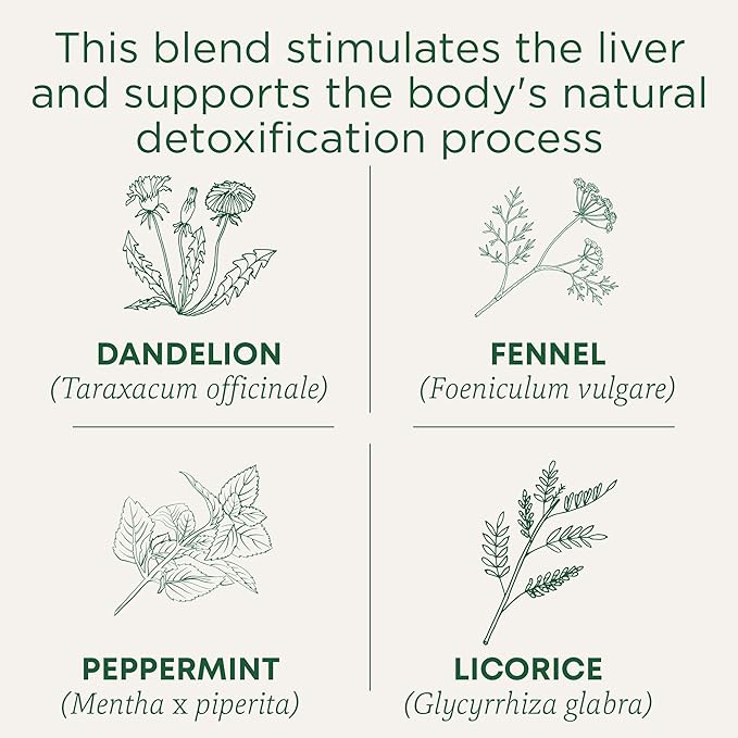 Traditional Medicinals Tea Organic EveryDay Detox Dandelion - Supports Healthy Liver &amp Kidney Function Detox - Kosher Non-GMO Caffeine-Free - 96 Tea Bags (6 Pack)