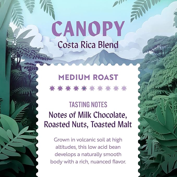 Clean Coffee Co. - Low Acid Medium Roast Tested for Molds and Toxins Costa Rica Blend Notes of Milk Chocolate Roasted Nuts Toasted Malt (Ground 12 oz Bag)