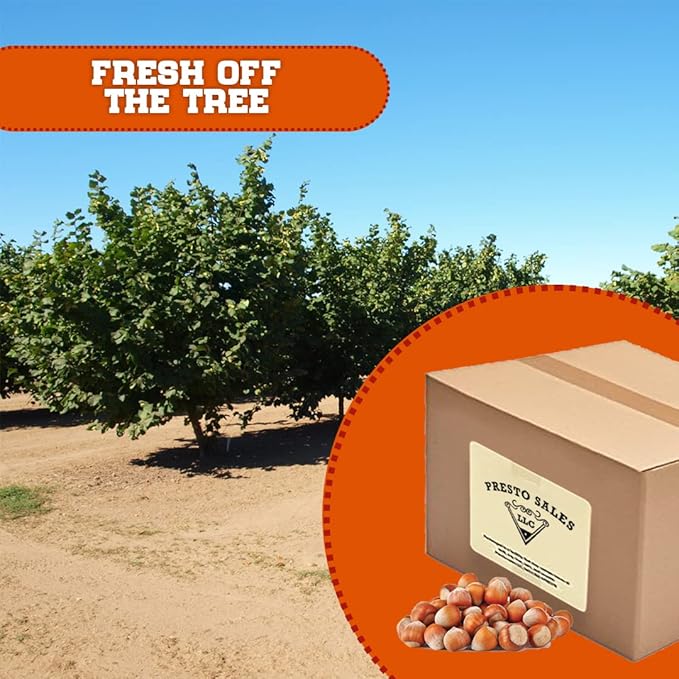 Presto Sales Filberts Hazelnuts Fresh off the tree Raw In Shell Oregon USA fun to crack - 160 oz. (10 lbs.) Convenient Bag in a Box