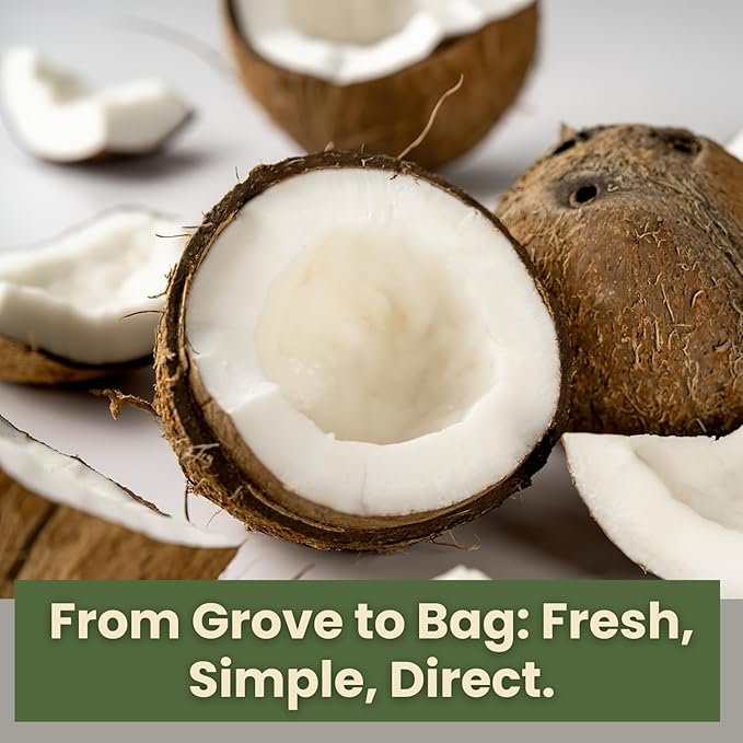 Wise Harvest Freeze-Dried Coconut – Five 1oz Packs | Single Ingredient Snack | 100% Real Fruit No Sugar Added Just Crunch | Healthy Vegan Gluten-Free Snack for Kids &amp Adults