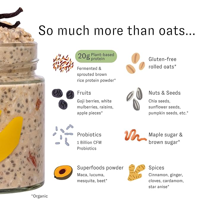 HOLOS Protein Overnight Oats - 12 Pack Variety Flavors with Jar - 20g Plant Proteins Organic Gluten Free Cereal with High Fiber Probiotics Vitamins Minerals