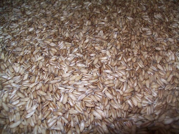 Whole Oat Groats: Raw Hulless Oats Farmer Direct 15 lbs. (Cotton Sack (non-GMO))