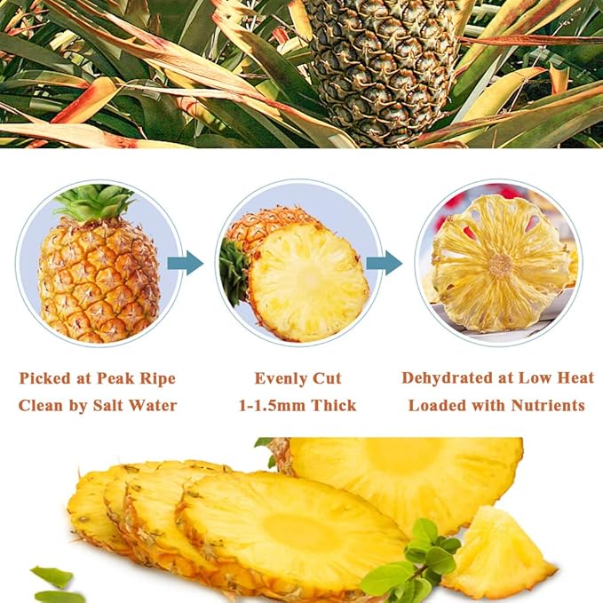 Mkostlich Dried Fruit Slices for Cocktails 3.5oz/100g Dried Pineapple Slices 3.5oz Dried Orange Slices 3.5oz Dried Grapefruit Slices