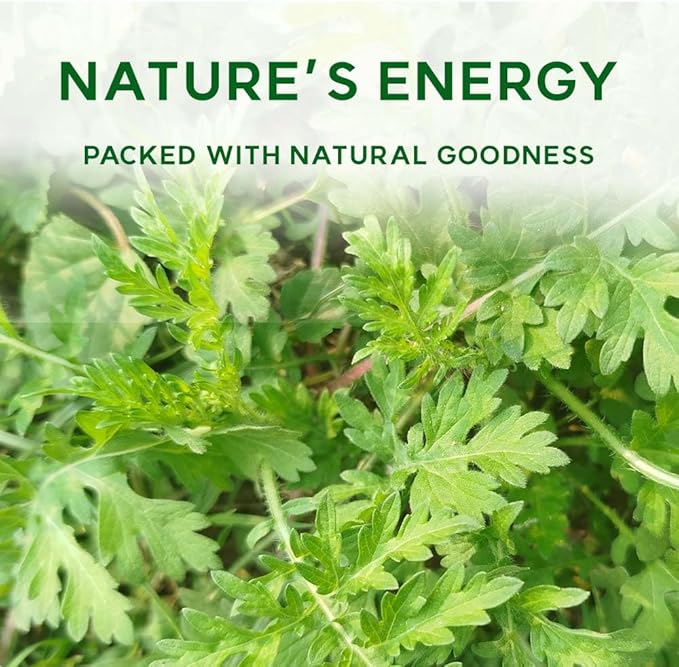 K-Herb Korean Mugwort Powder – 100% Pure Dried Mugwort from Korea Natural Ingredient for Herbal Tea Culinary Use Plant-Based Powder 쑥가루 (10.6 oz (300g) Mugwort)