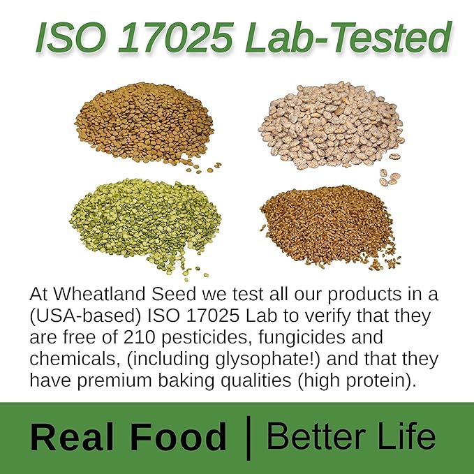 Wheatland Oat Groats • 20 Pound Bucket with Mylar lining • USA Grown • Non-GMO • Lab Tested • Sproutable • Whole Grain • Emergency Food Storage 15 year shelf life