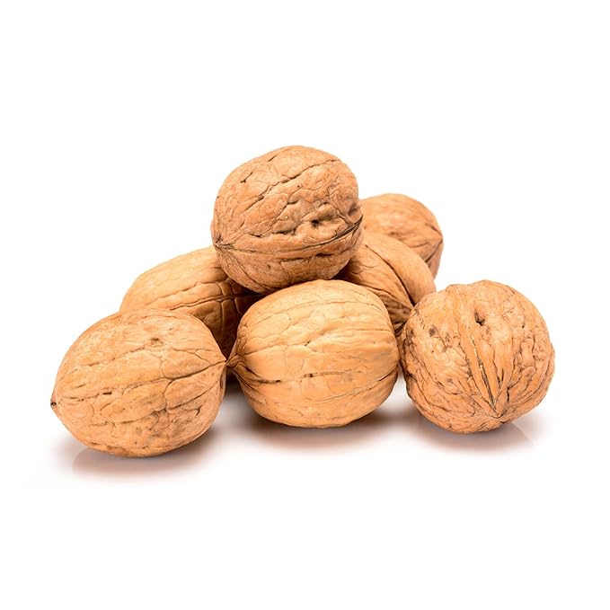 Trends Walnuts in Shell – Fresh Natural and Nutrient-Rich Perfect for Snacking Baking and Cooking Fresh Walnuts in Shell – Non-GMO (2lbs)
