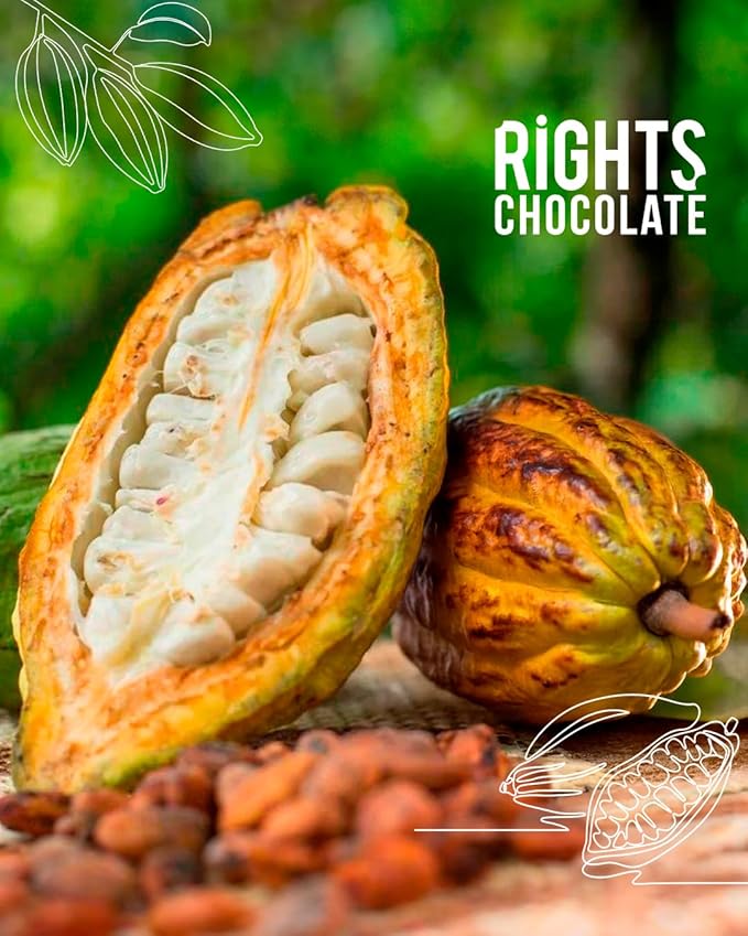 “Ecuadorian Dark Chocolate Variety Pack – Gourmet &amp Sugar-Free Mini Bars (10 x 20g) – Fine Aroma Cacao”