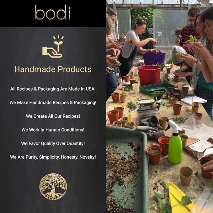 bodi : Dates Whole Dried Pitted | 4oz to 5lb | 100% Pure Natural Hand Crafted (1 lb)