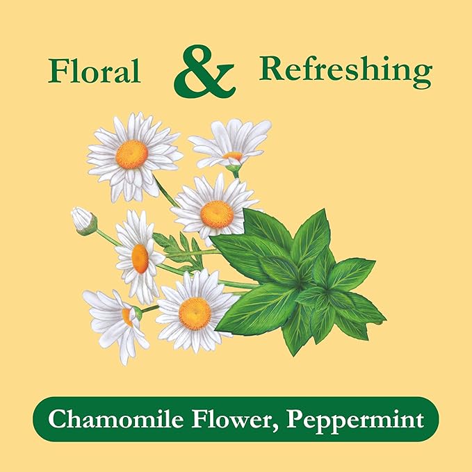 Tadin Chamomile &amp Mint Tea Herbal Tea Caffeine Free Tea Tea Bags Individually Wrapped 24 Tea Bags Per Box Pack of 6
