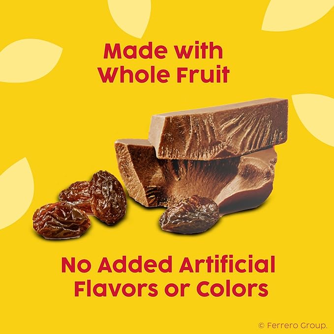 Raisinets Dark Chocolate Covered Raisins Gluten-free California Movie Theater Candy Box 3.1 oz Bulk 15 Pack