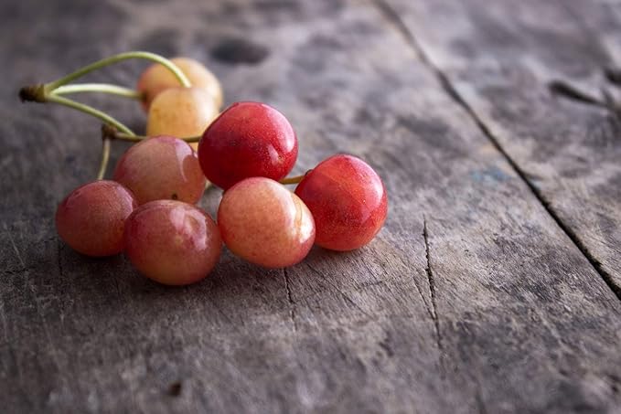 Organic Rainier Cherries 8 Pounds - California Sun-Dried Cherries Non-GMO Pitted Unsweetened Unsulfured Non-Infused Non-Oil Added Non-Irradiated Vegan Raw Bulk