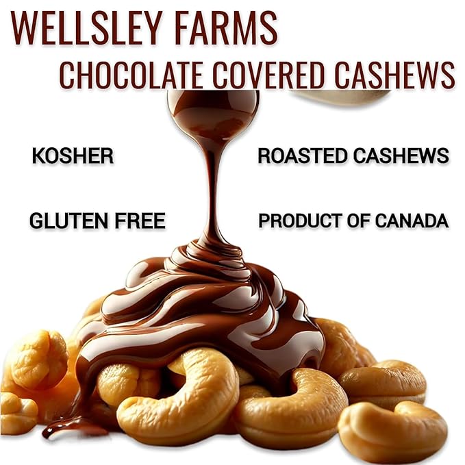 Wellsley Farms Milk Chocolate Covered Cashews 2.75 lbs - Whole Roasted Cashews in Creamy Milk Chocolate Gluten-Free Kosher Sweet Snack