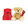RED Delight®™ Dark Chocolate 12 Count Box of Grab N Go Travel Size Bars (0.92 Ounces Each) with 14 Plush Teddy Bear (2 Boxes - Total of 24 Bars + 14 Plush Teddy Bear)