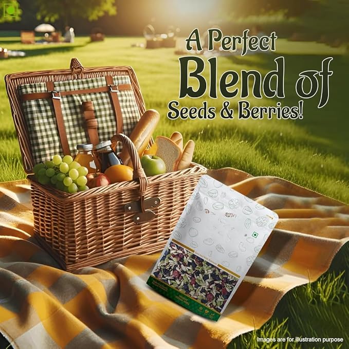 Generic Mixed Roasted Seeds &amp Berries pumpkin sunflower flax blueberry cranberry black currant black raisins all seeds roasted - 200 GM