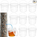 BOUTICOL 10 PCS Maple Syrup Collection Buckets - 5 L Clear Plastic Maple Syrup Tapping Containers with Lids for Experts or Beginners Maple Birch Syrup Collection Supplies