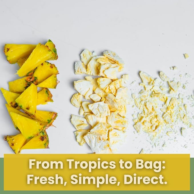 Wise Harvest Freeze-Dried Pineapple – Five 1oz Packs | Single Ingredient Snack | 100% Real Fruit No Sugar Added Just Crunch | Healthy Vegan Gluten-Free Snack for Kids &amp Adults