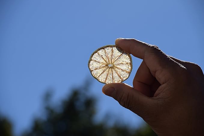 Dehydrated Lime Slices Citrus Immune Booster to Infuse Water Cocktails GarnishSelf Care Wedding/Fall/Holiday Decor 80 Slices