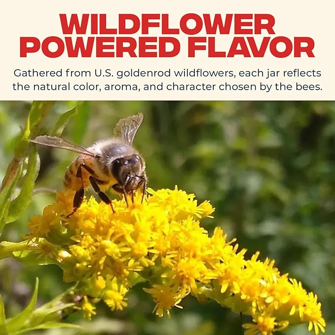 Really Raw Honey Straight from the Hive Never Heated or Filtered Harvested from Small USA Family Farms Smooth and Dense (42 Ounce)