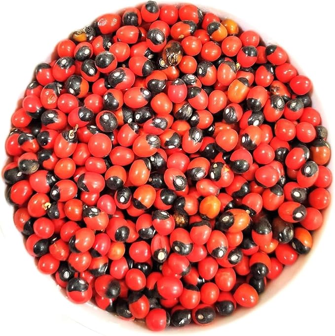 Natural Guarana Seeds Red and Black Whole Dried Berries Bulk Superfood 100 gm.