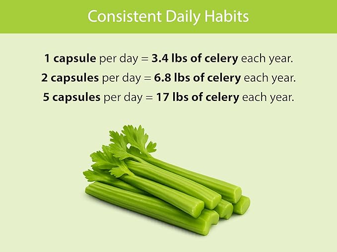 KOYAH - Organic Celery Capsules – 200 mg Freeze-Dried Whole-Stalk Powder (Equals 4200 mg Fresh) – 60 Vegan Capsules – No Binders or Fillers – USDA Organic Non-GMO Gluten-Free