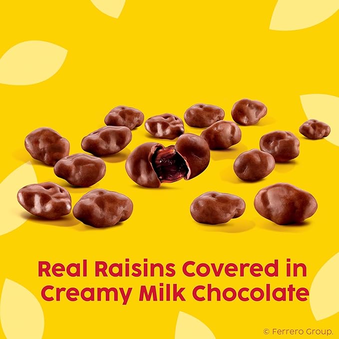 Raisinets Dark Chocolate Covered Raisins Gluten-free California Movie Theater Candy Box 3.1 oz Bulk 15 Pack