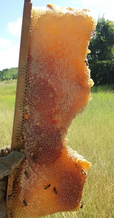 THE VI HONEYMAN Wildflower Honey