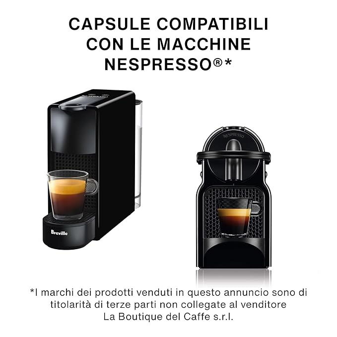 ITALIAN COFFEE Espresso pods compatible with Nespresso Original machines Aluminum Organic capsules (The Monet aluminum 100 count (Pack of 1))