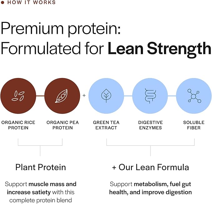 Gainful Lean Plant Protein Powder &amp Neapolitan Flavor Bundle 20g Plant Protein Supports Lean Muscle Metabolism &amp Satiety with Green Tea Extract Vegan 14 Servings + 14 Flavor Sticks