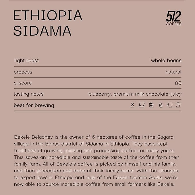 512 COFFEE | Light Roast Coffee Whole Bean - QGS 87.75 | Specialty Fresh Roasted Single Origin Ethiopian Sidamo Coffee | Natural Flavored Notes of Blueberry Chocolate Juicy